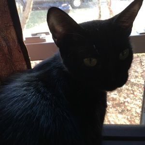 Meet your Posher, Natalie